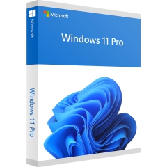 Microsoft Windows 11 Pro Descarga minorista